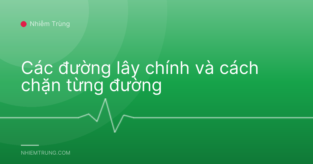 Các đường lây chính và cách chặn từng đường