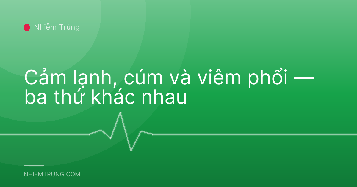 Cảm lạnh, cúm và viêm phổi — ba thứ khác nhau