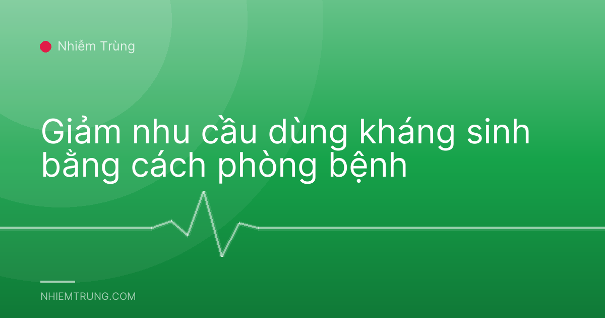 Giảm nhu cầu dùng kháng sinh bằng cách phòng bệnh
