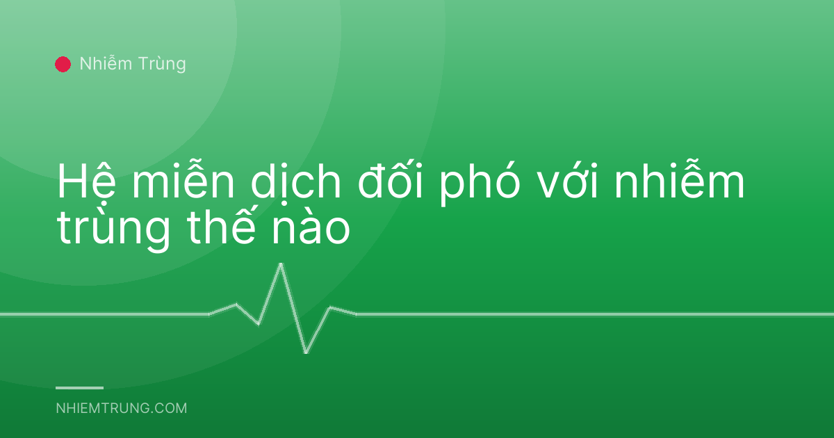 Hệ miễn dịch đối phó với nhiễm trùng thế nào