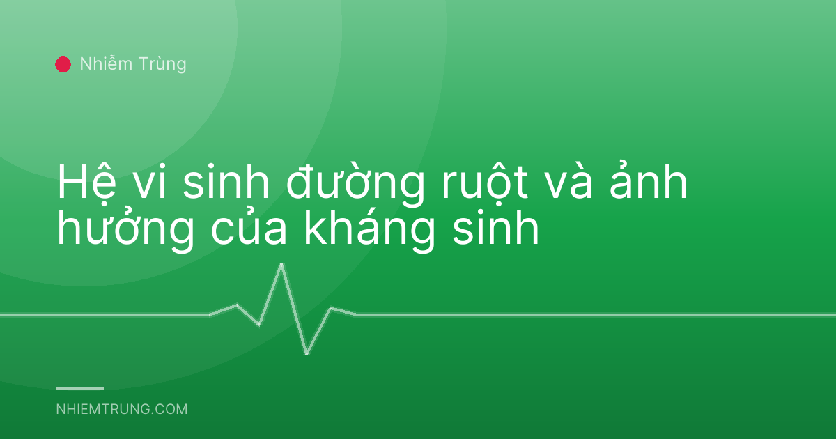 Hệ vi sinh đường ruột và ảnh hưởng của kháng sinh