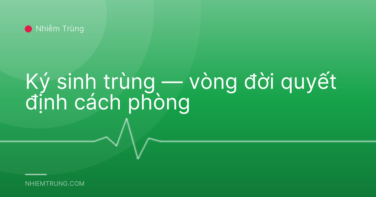 Ký sinh trùng — vòng đời quyết định cách phòng