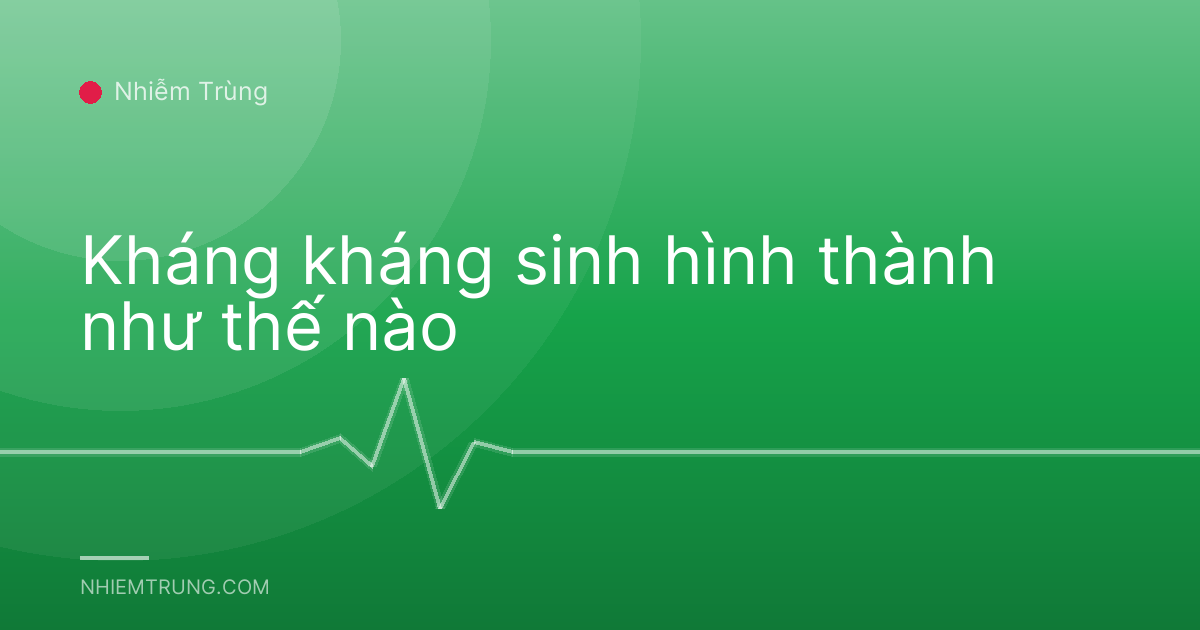 Kháng kháng sinh hình thành như thế nào