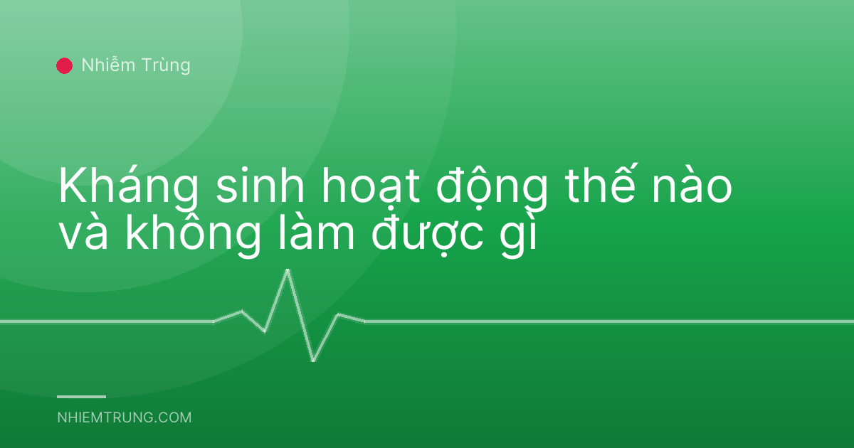 Kháng sinh hoạt động thế nào và không làm được gì
