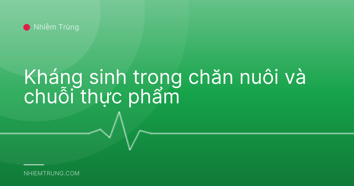 Kháng sinh trong chăn nuôi và chuỗi thực phẩm