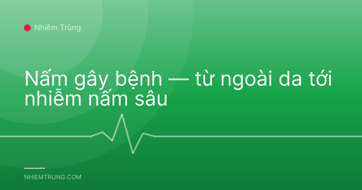 Nấm gây bệnh — từ ngoài da tới nhiễm nấm sâu