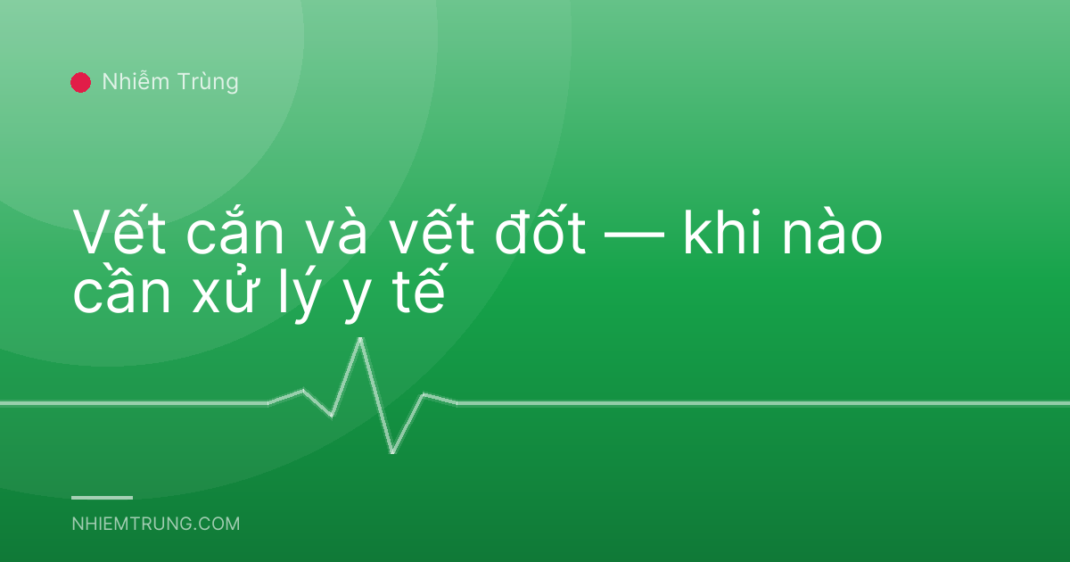 Vết cắn và vết đốt — khi nào cần xử lý y tế