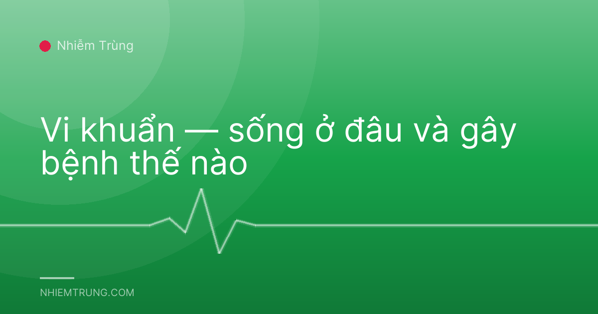 Vi khuẩn — sống ở đâu và gây bệnh thế nào