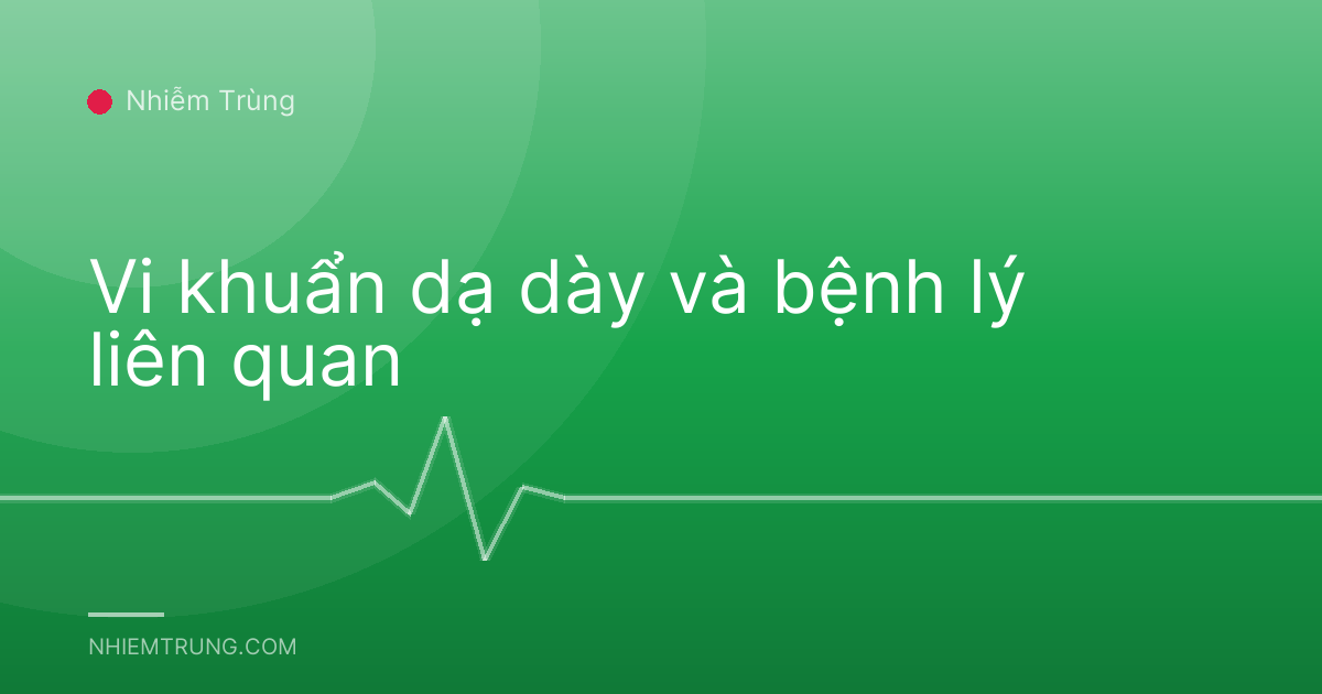 Vi khuẩn dạ dày và bệnh lý liên quan